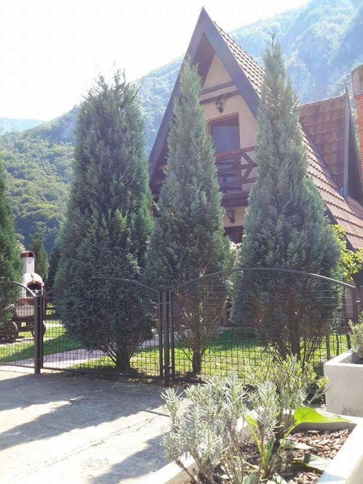 Viola I Detelina Apartments Perucac Luaran gambar
